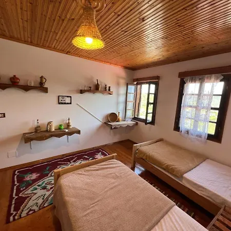 Maria - Castle Willa *