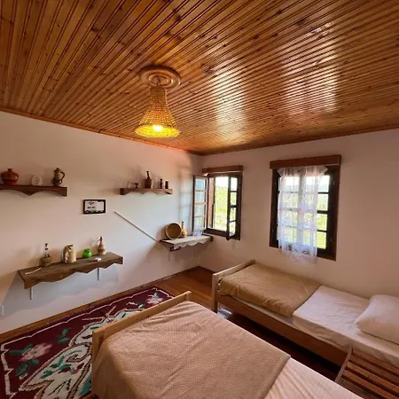 Willa Maria - Castle *